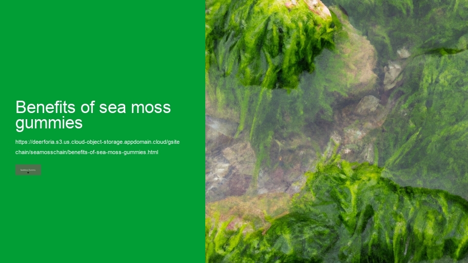 benefits of sea moss gummies