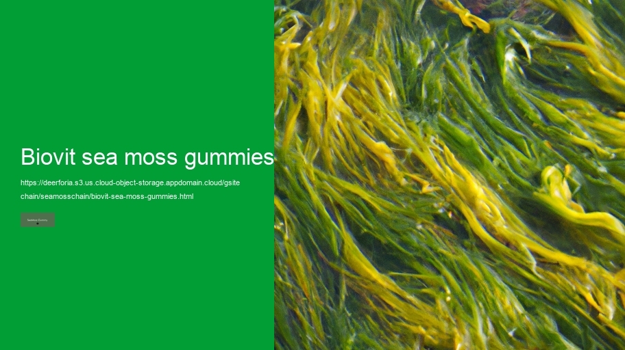 biovit sea moss gummies