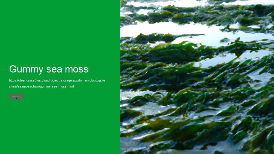 gummy sea moss