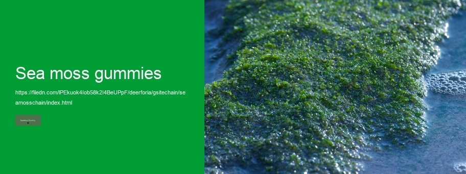 sea moss and elderberry gummies