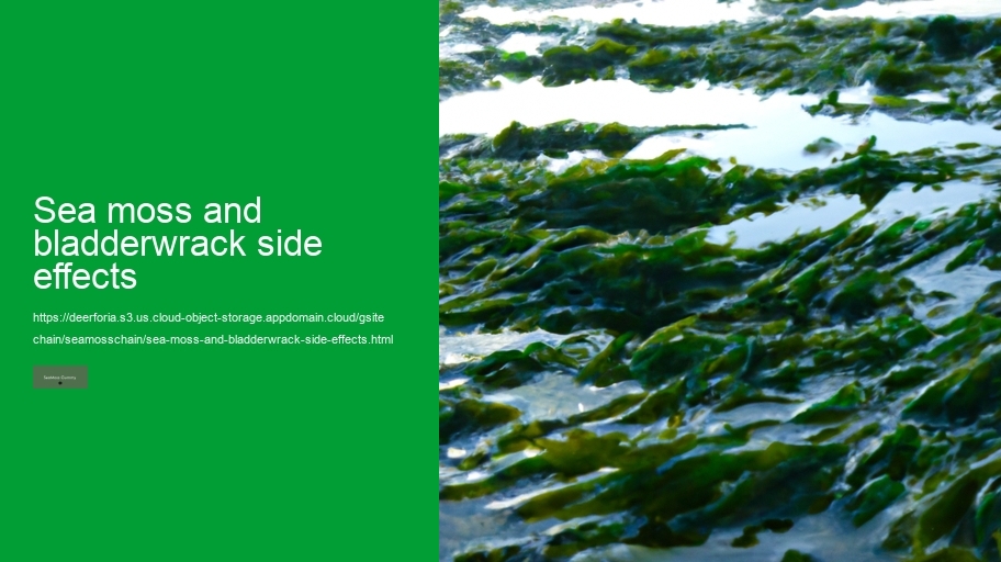 sea moss and bladderwrack side effects