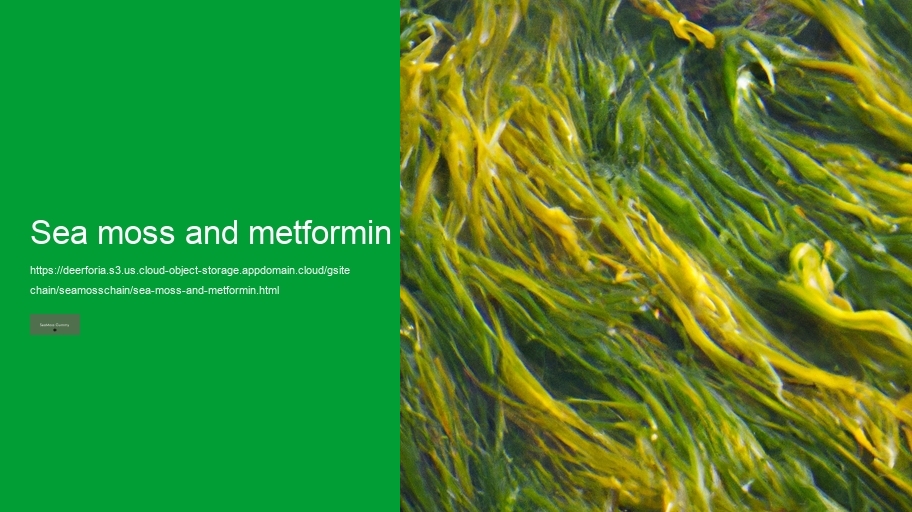 sea moss and metformin
