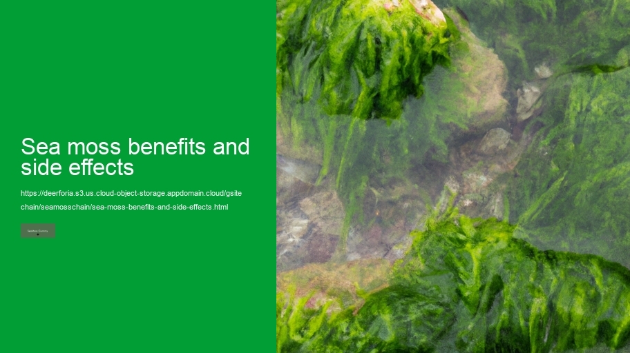 sea moss benefits and side effects