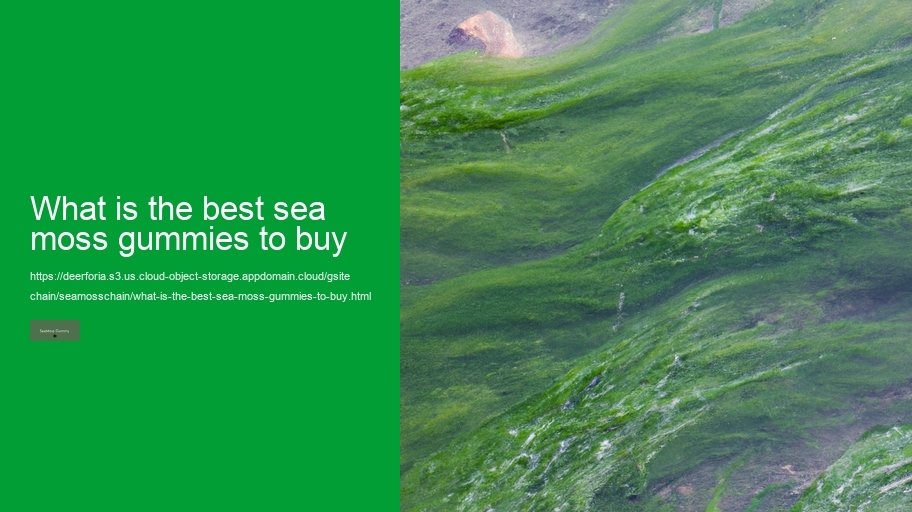 what is the best sea moss gummies to buy