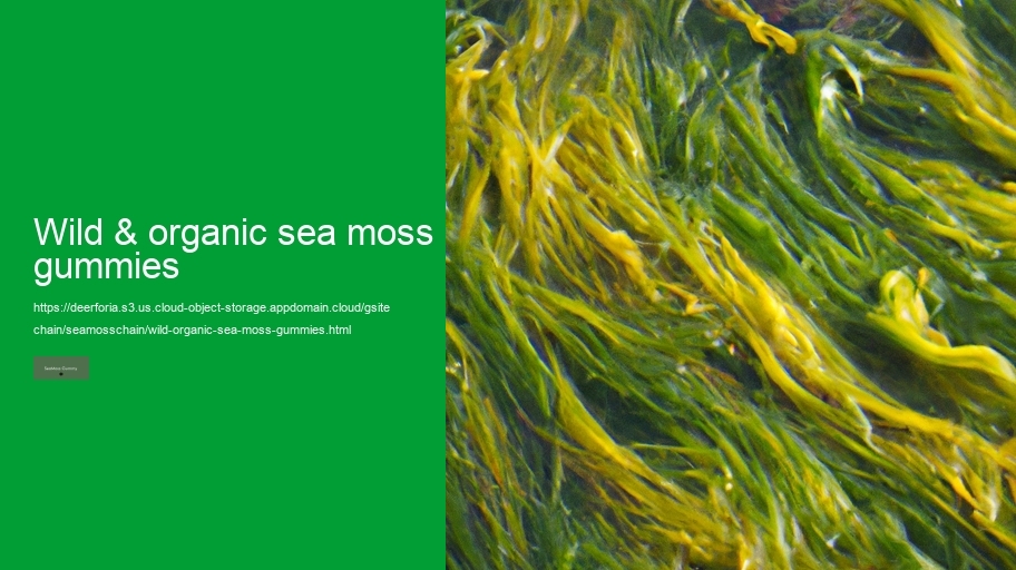 wild & organic sea moss gummies
