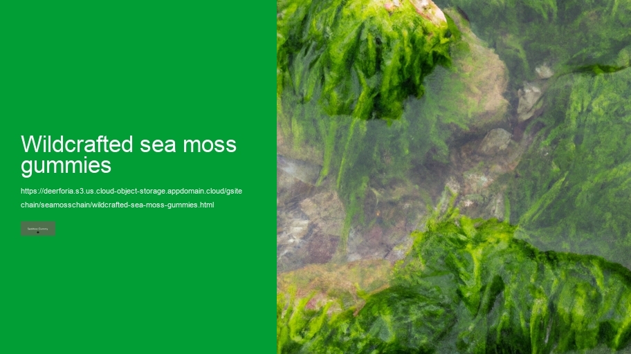 wildcrafted sea moss gummies